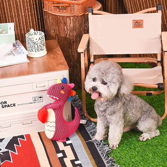 Hugsmart Products Inc - Wholesale Pet Plush Toy - Dog - HugSmart Pet - Dinosaur Land | Rexy - Dog Plush Toy4