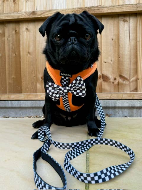 The Crafty Dog Co – Großhandel Haustiergeschirr – Hund – McLawren Harness - McLaren Orange kariert PawFormula 1 F17