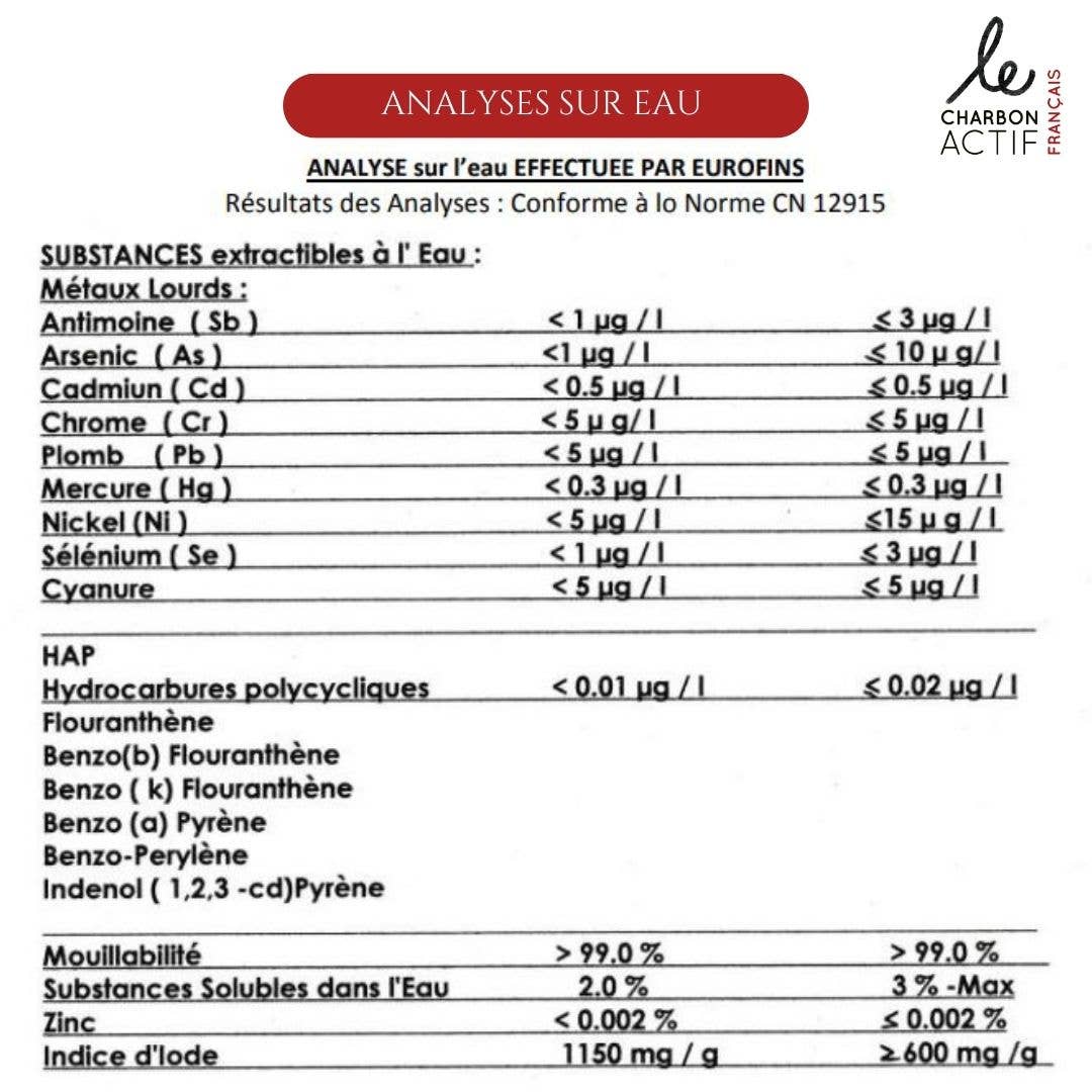 Bijin - Wholesale Water filter - Set of 4 Nomad Active Vegetable Charcoal Bottle Filters1