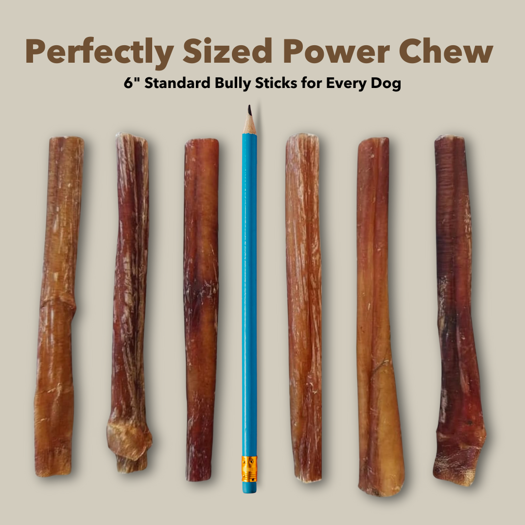 Mighty Chewz - Wholesale Pet Treats - Dog - 6" Standard Bully Sticks $1.22/ Stick (Case Price)6