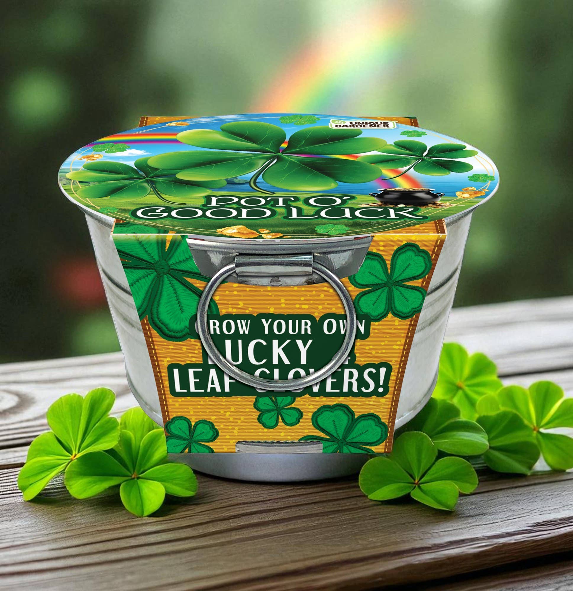 Silver Circle Products - Vente Terrariums - Pot O' Good Luck - Présentoir de comptoir 24 pièces1