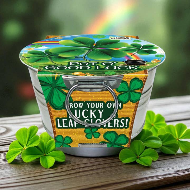 Silver Circle Products - Vente Terrariums - Pot O' Good Luck - Présentoir de comptoir 24 pièces1