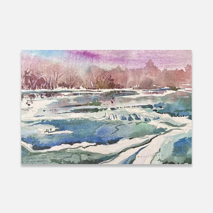 Fosters surgelé pour la vente par Montstream