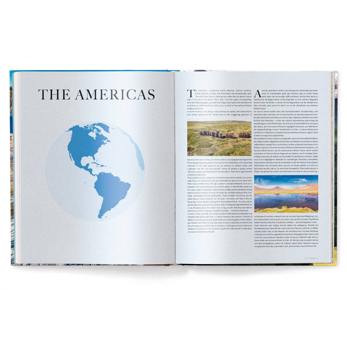 gestalten & teNeues - Wholesale Arts & Entertainment Book - The World1