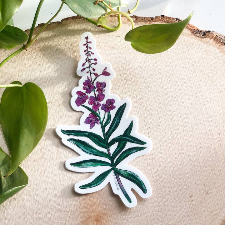 Fireweed Sticker for wholesale by Art by Anya Toelle