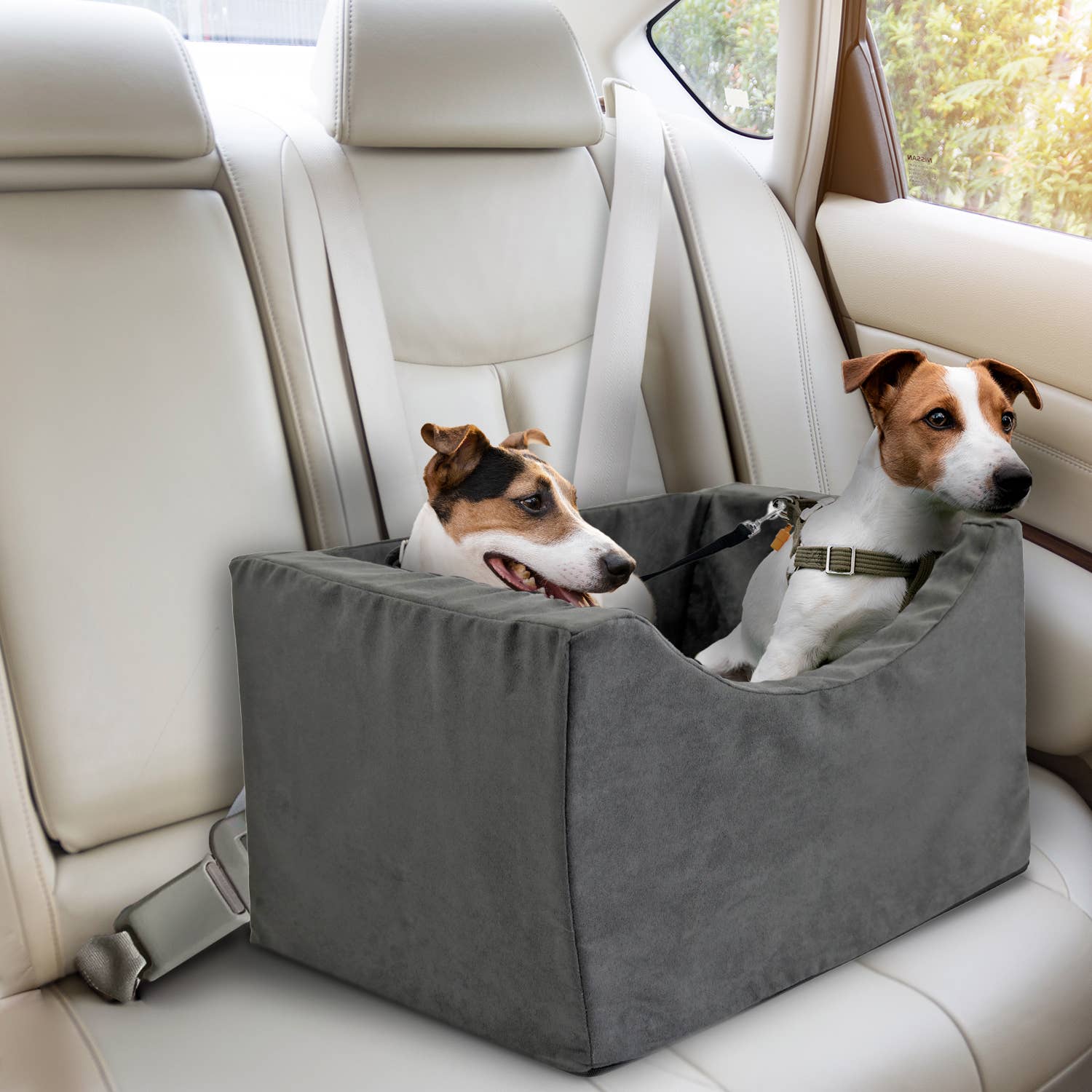 Precious Tails - Wholesale Pet Carrier - Cat/Dog - Precious Tails High Density Foam Pet Booster Seat57