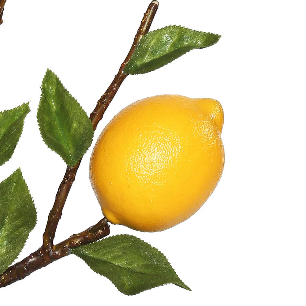 Vert, Jaune Vickerman Spray au citron vert/jaune de 20 po en vente sur Faire1