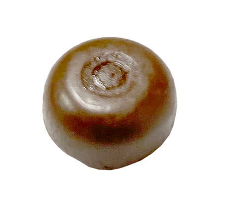 Sunflower Food Company - Wholesale Hard Candy - Bali's Best Espresso Candy, 5.3-Ounce Bags (Pack of 12)2