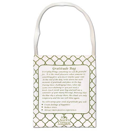 Alice's Cottage - Wholesale Gift Bag - Gratitude Bag - Note Pad and Pen GR-475 Dragonfly1