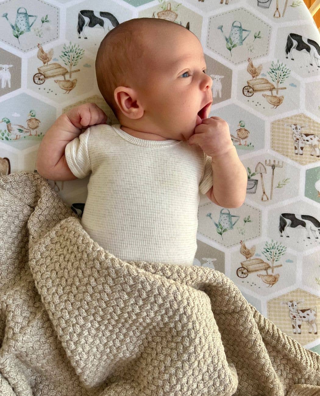 Cuddle Bug & Co - Wholesale Cot/Crib Sheets - Mini & Me Co-Sleeper Sheet Patchwork Farm3