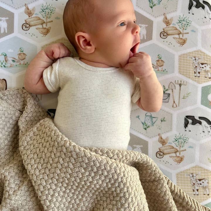 Cuddle Bug & Co - Vente Drap pour berceau/lit pour bébé - Mini & Me Drap pour Cododo Patchwork Ferme3