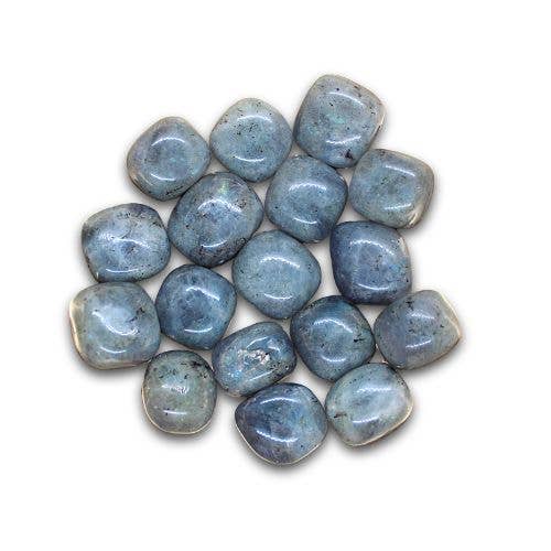 Green Tree - Wholesale Spiritual Stone/Crystal - Labradorite tumbled stone 250 gram