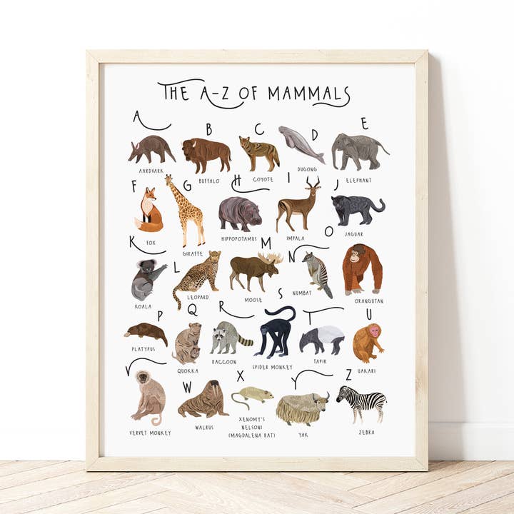 De A-Z van zoogdieren voor wholesale door Bea Baranowska Illustration