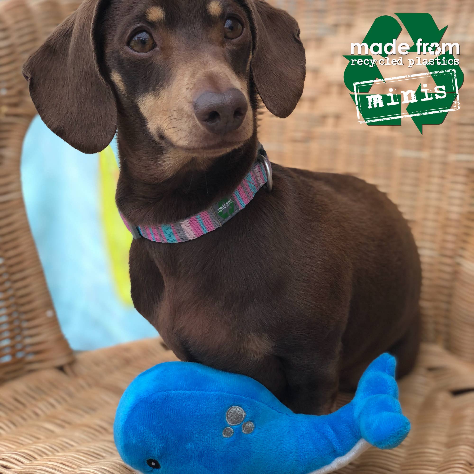 Ancol Pet Products Ltd - Wholesale Pet Plush Toy - Dog - Made From Mini Shark Octopus and Oshi2