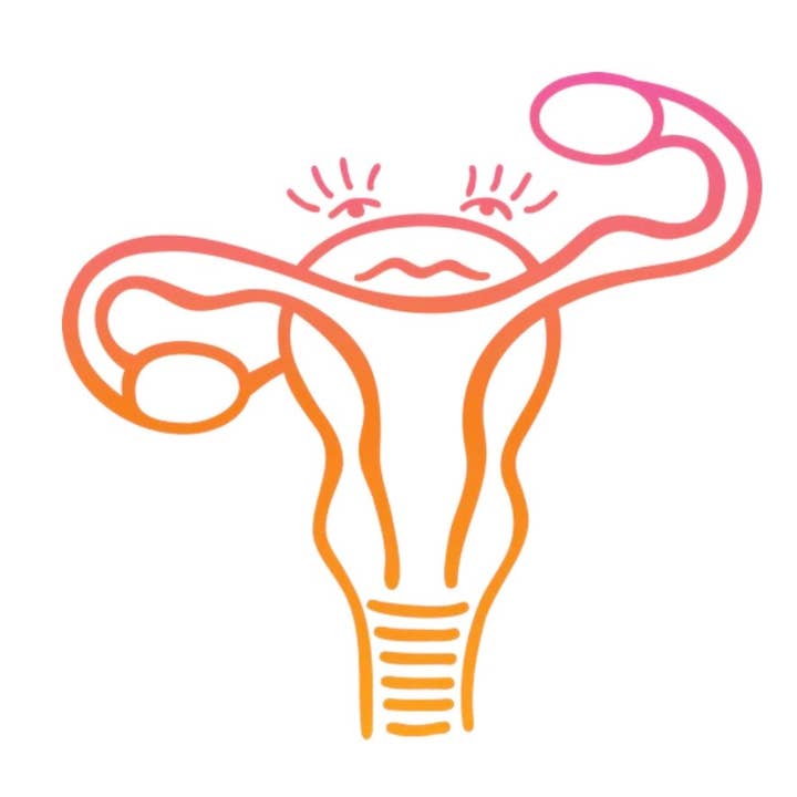 XO Jacqui - Wholesale Protein/Superfood Powder - Strong + Vital Menopause Support Protein Powder4