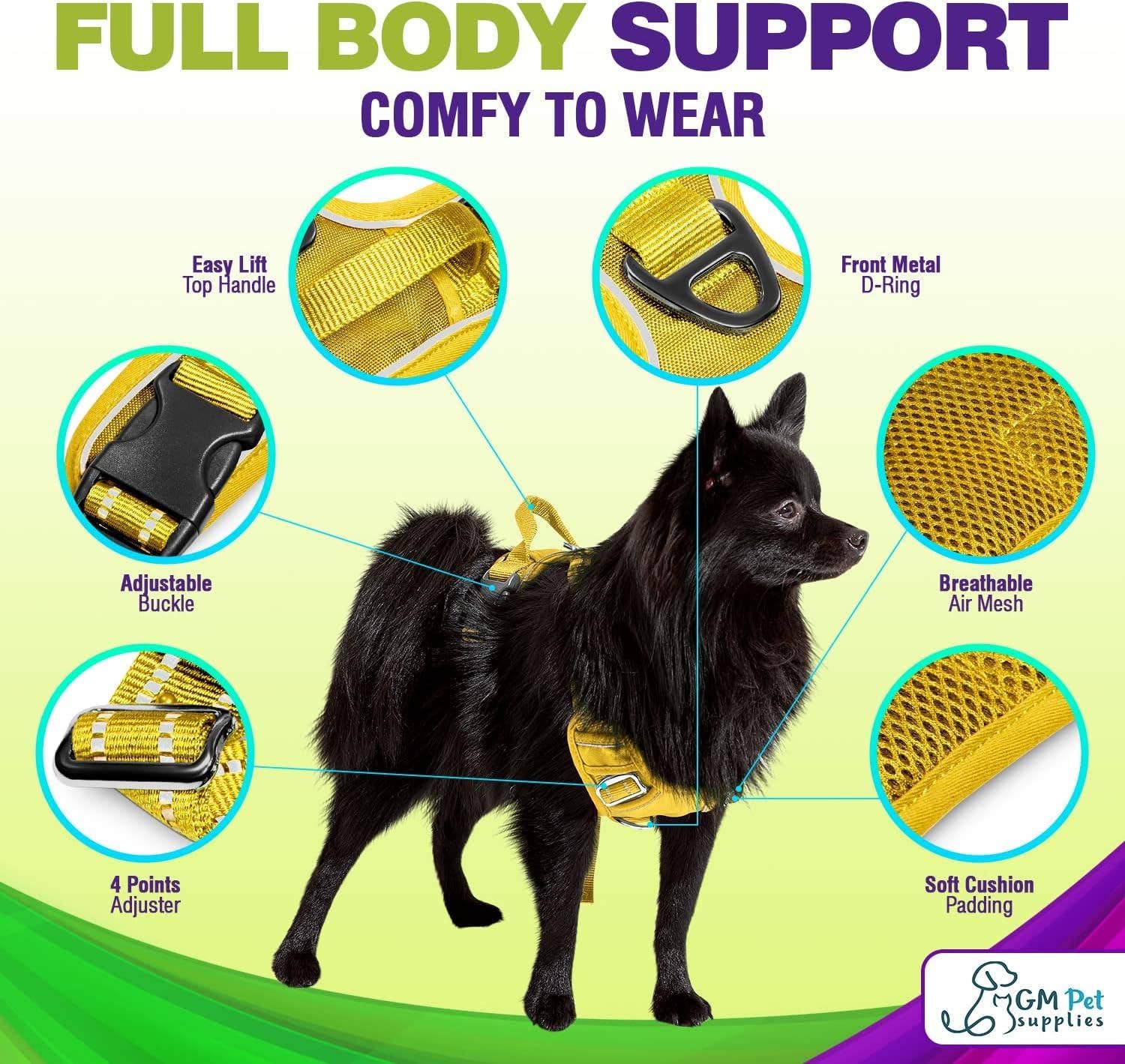 Katziela - Wholesale Pet Harness - Dog - Dog Harness Walking kit and Leash Set20