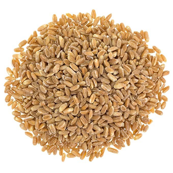 Food To Live - Wholesale Whole Grains - Organic Italian Pearled Farro – Whole Farro Grain in Bulk1