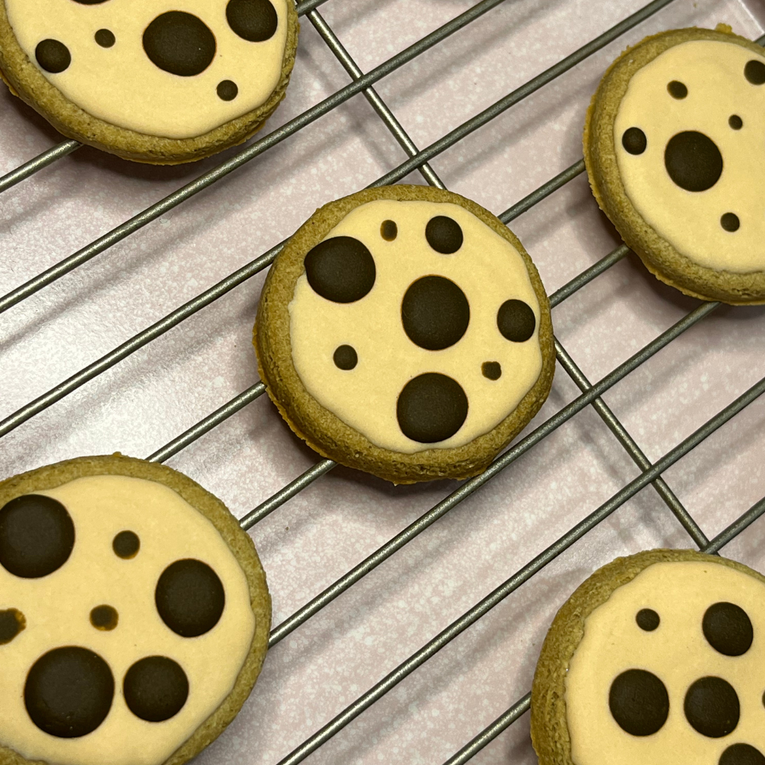 Friends Pawever - Wholesale Pet Treats - Dog - Iced Dog Cookie Jar4