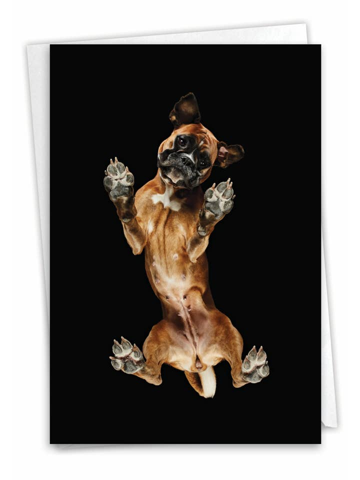 Carte Miss You - Big Under Dogs pour la vente par NobleWorks