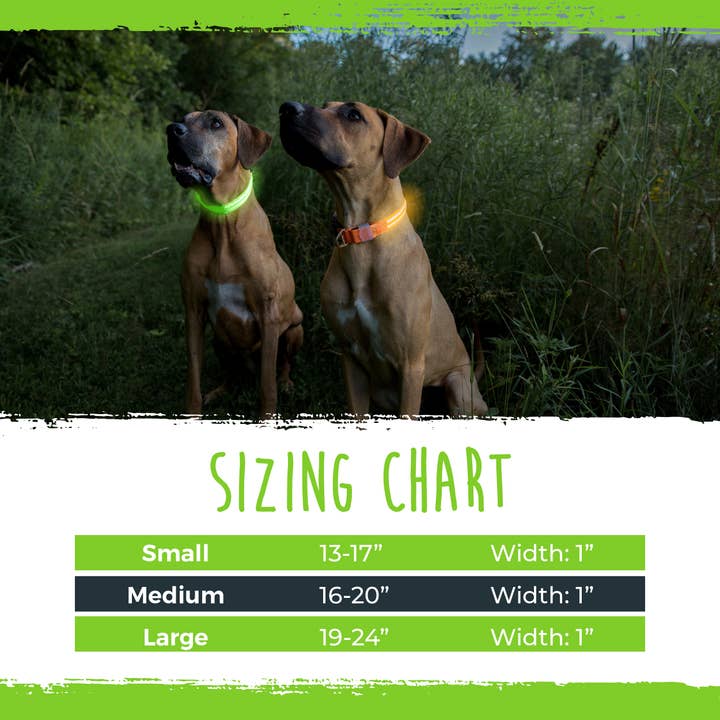 Mighty Paw - Venta al por mayor Collar - Perros - Collar de perro LED