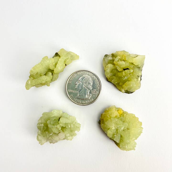 Pelham Grayson Rose - Wholesale Spiritual Stone/Crystal - Prehnite | Raw | Morocco