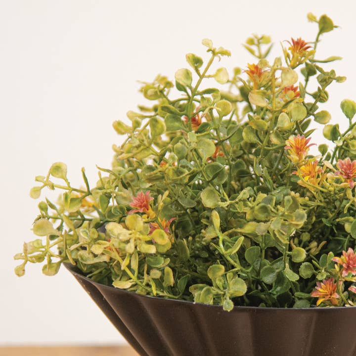 Saybrook Lane - Wholesale Artificial Plant - Golden Fall Buds & Baby's Grass Half Sphere, 10"
