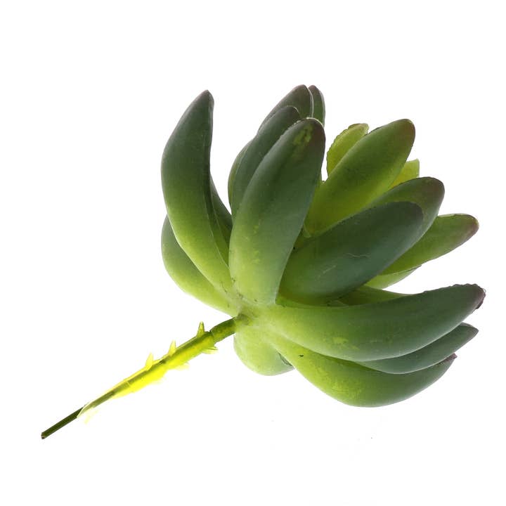 HomArt - Wholesale Succulent - Faux Succulent - Lrg - Green