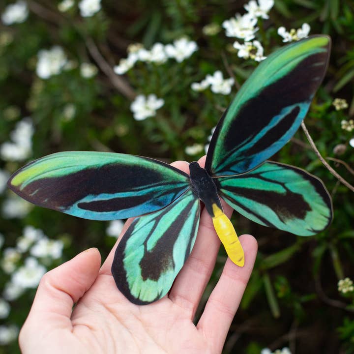 Moth and Myth - Wholesale Decorative Figurine - 'Queen Alexandra's' Birdwing Butterfly