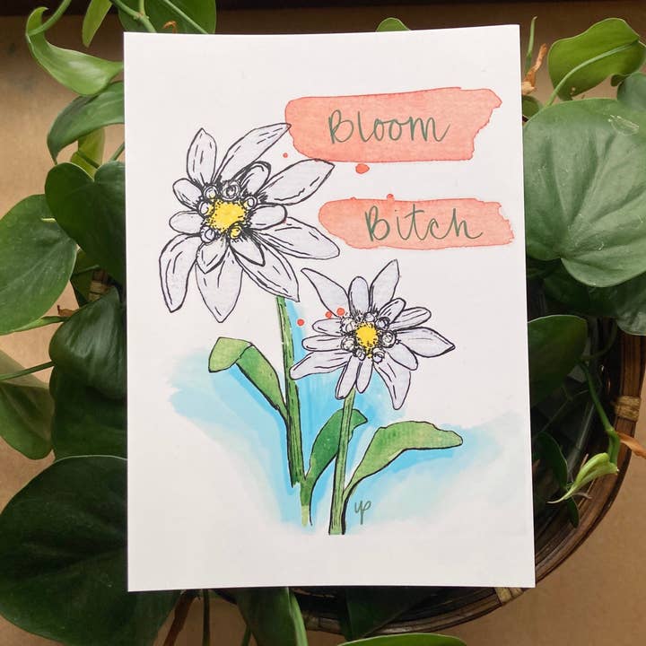 Edelweiss Flower Bloom B*tch, Art Print Postcard for wholesale by Yesterday’s Present