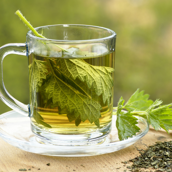 HealthTea - Wholesale Nursing Tea - Maternity - Pregnancy & Nursing (selection)2