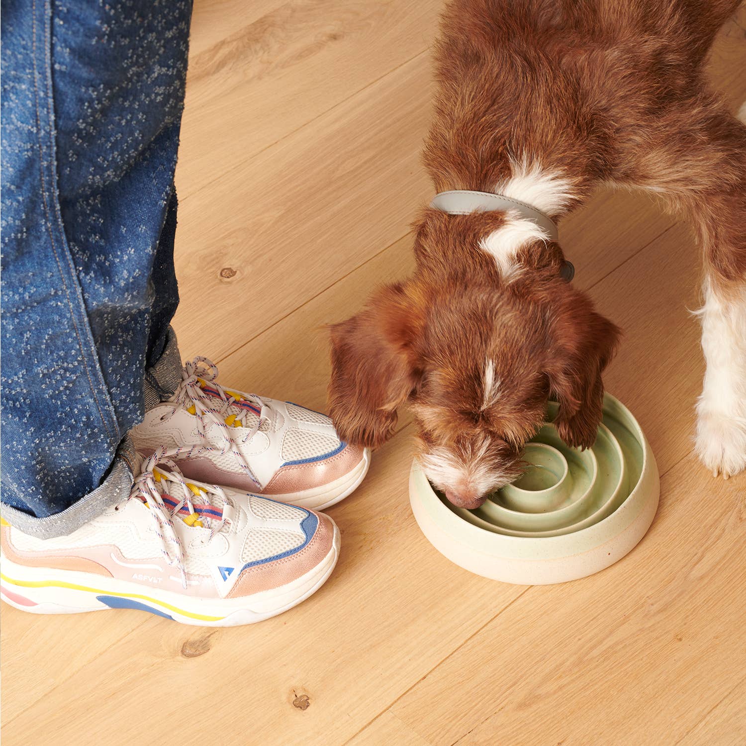 Emerald Slow Feeder Dogs for wholesale on Faire2