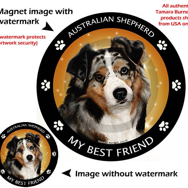 Pet Gifts USA, LLC - Vente Aimants - Aimant circulaire bleu berger australien My Best Friend