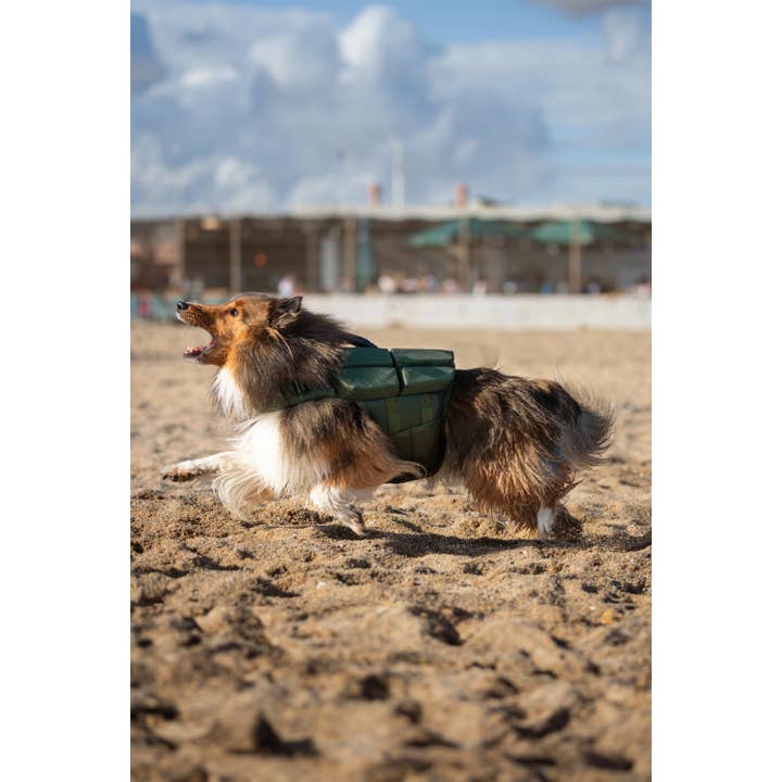 NOAH AND PAW LLC - Vente Veste – chien - Gilet de sauvetage pour chien NOAH AND PAW avec 4 mousses flottantes - Vert11