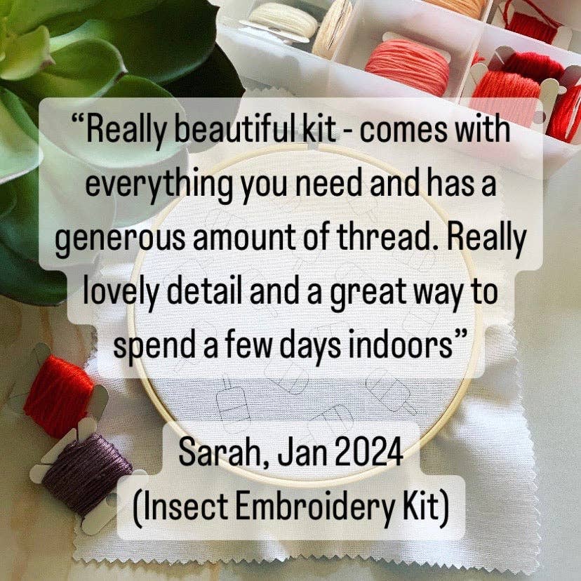 Rose Stitch Art - Vente Accessoire de broderie/point de croix - Kit de broderie Hérisson et Champignon - Artisanat DIY pour débutants pour la détente et la pleine conscience. Modèle de couture à la main Forêt d'hiver8