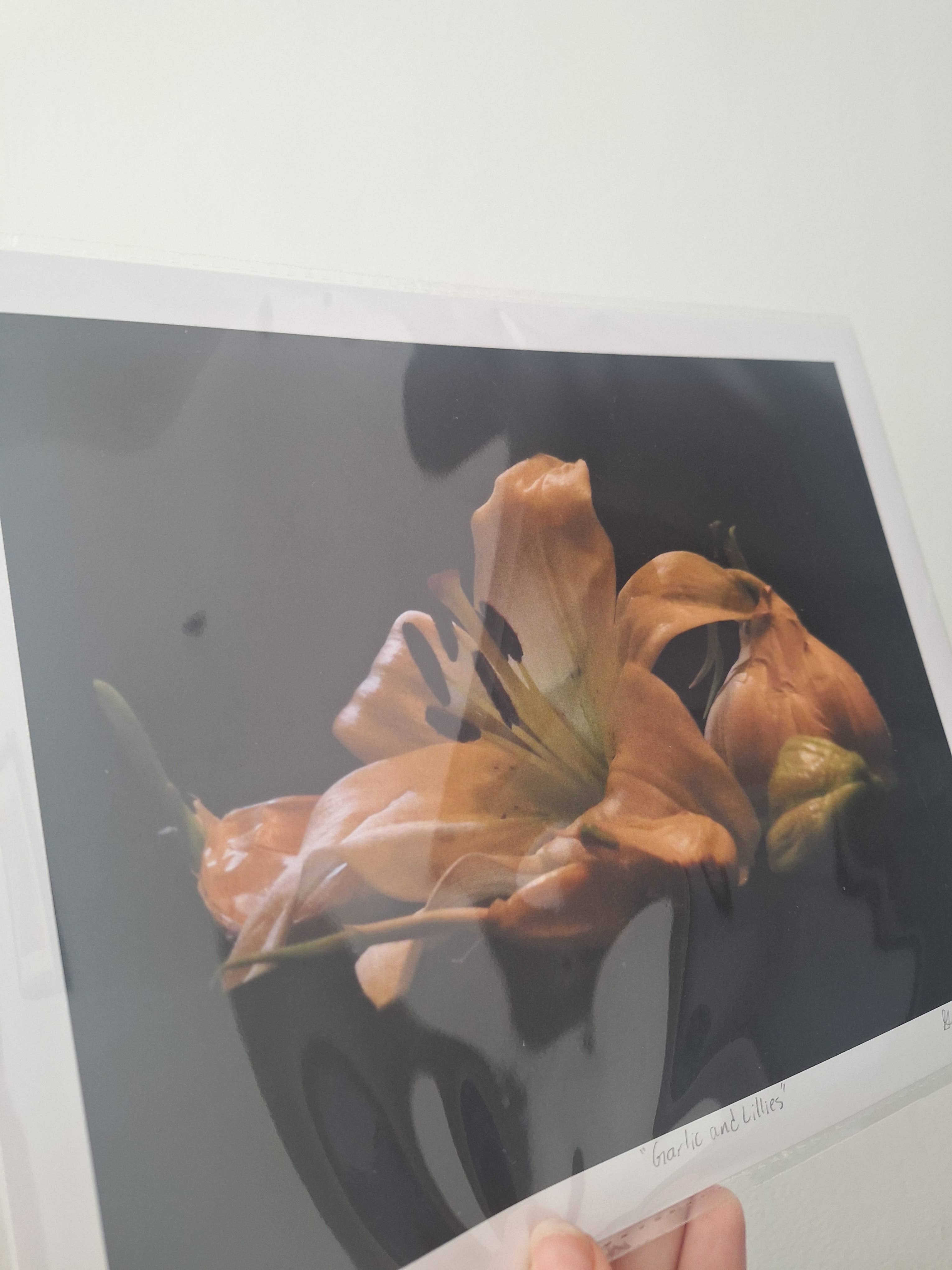 Gen Aumonier Art - Wholesale Photograph - Garlic and Lilies 8"x10" Signed Photography Art Print2