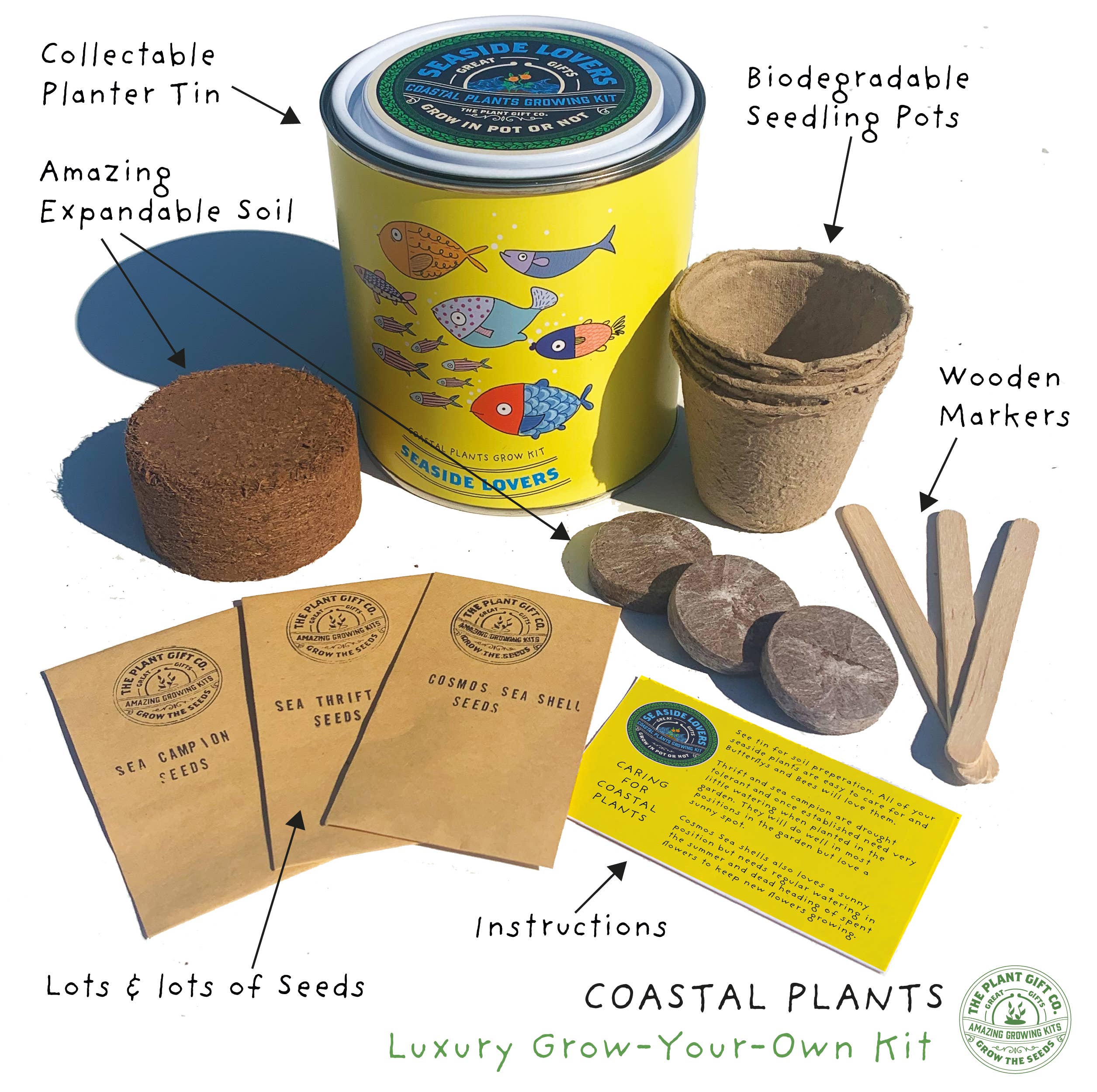 The Plant Gift Co. – wholesale Plant seeds – Seaside Lovers. Eco Grow Your Own Plant Kit, Gardening Gift1