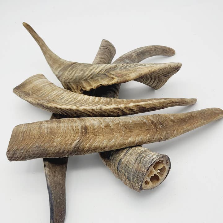 Herders Choice Chews - Wholesale Pet Treats - Dog - The GOAT Dog Chew Bulk Pack Large (1kg) 5-6 pcs.1