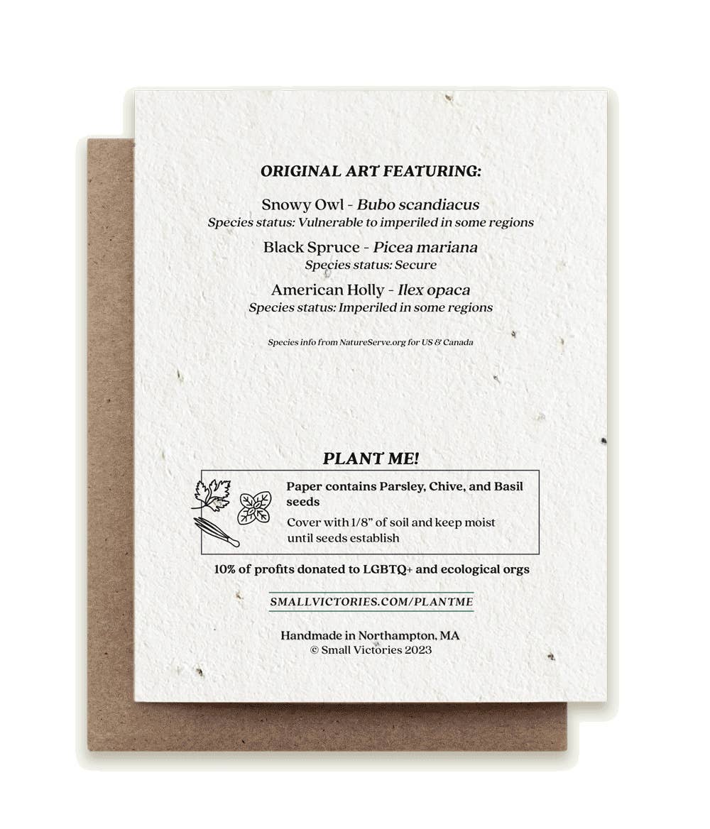 Small Victories – wholesale Season’s Greetings card – Winter Snowy Owl Plantable Herb Seed Card1