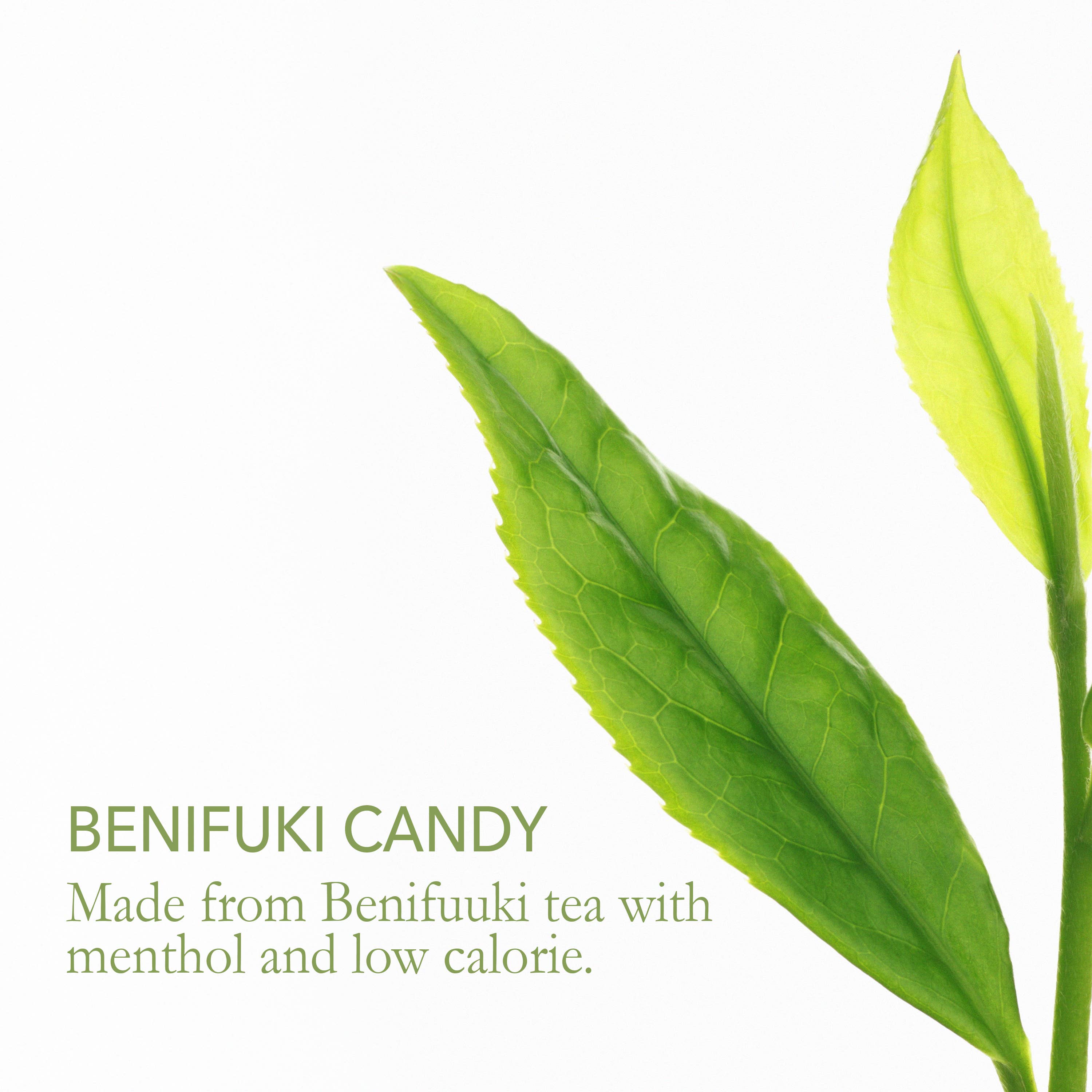 Dream of Japan - Wholesale Hard Candy - Benifuuki - Allergy Relief Japanese Green Tea Candy7