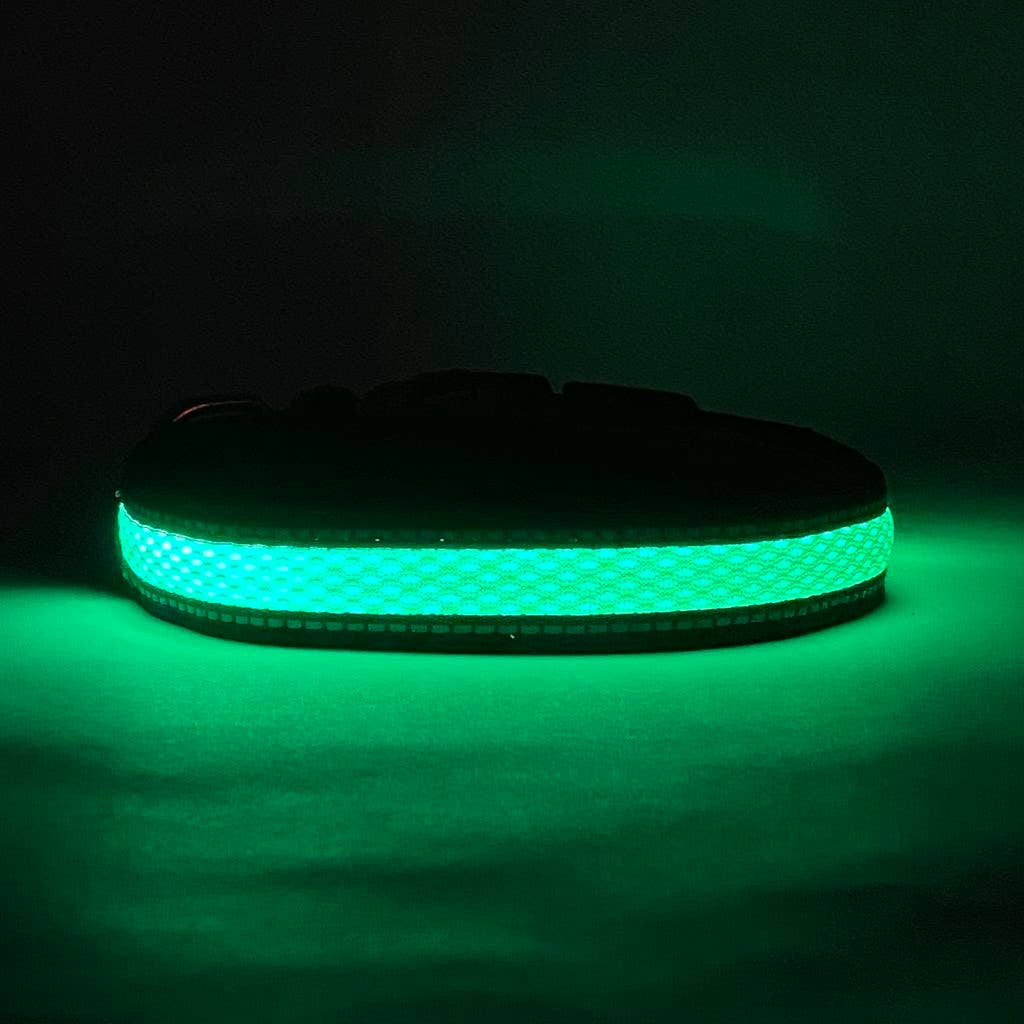 Puppy LED - Vendita all'ingrosso Collare - Cani - Collare per cani LED ricaricabile USB ad alta visibilità4