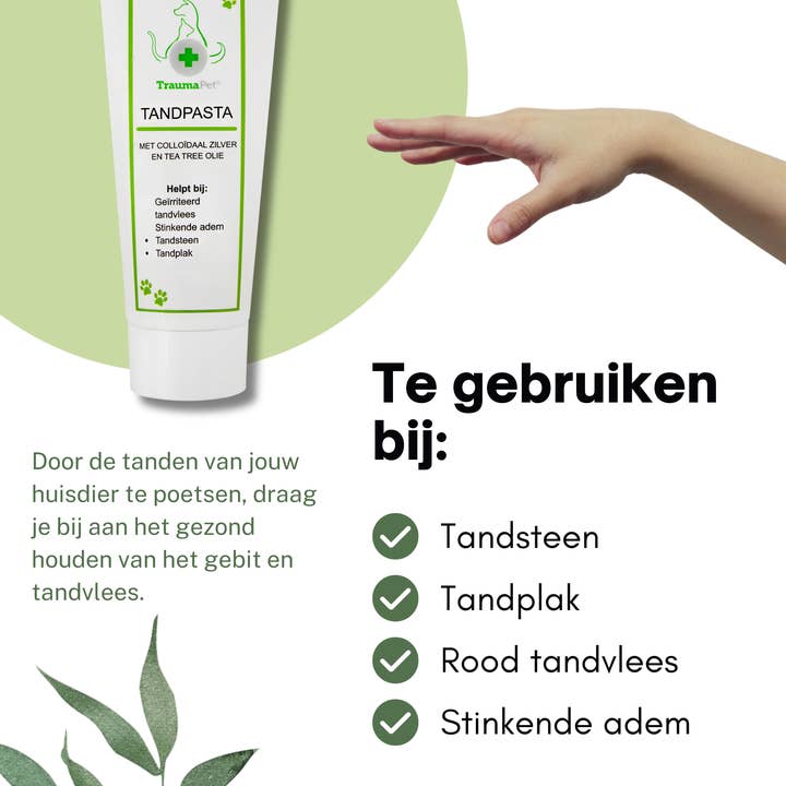 TraumaPet Nederland - Wholesale Pet Toothpaste - Dog - Colloidal Silver Toothpaste for Animals | Meat Flavour1