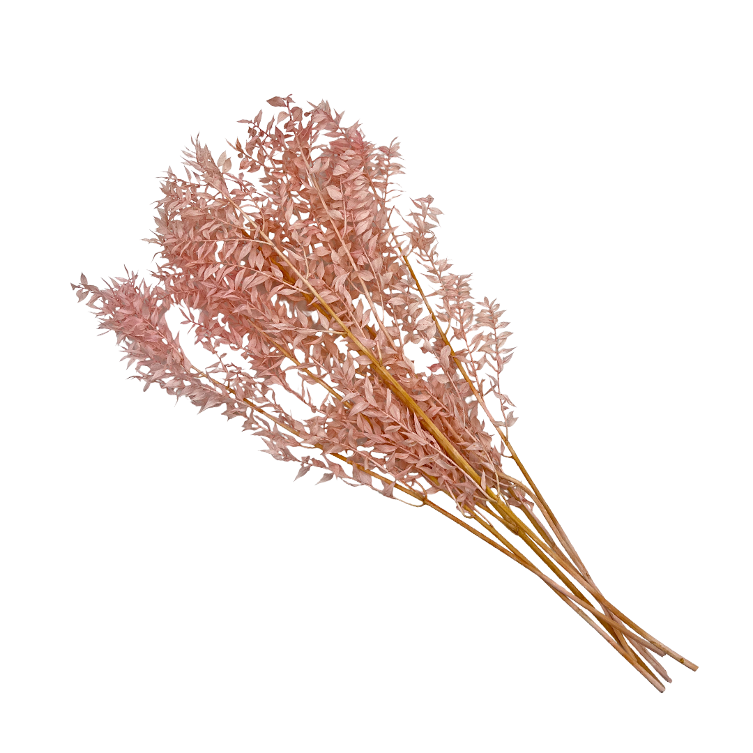 2626 Designs - Vendita all'ingrosso Piante artificiali - Ruscus conservato lungo 56-61 cm22