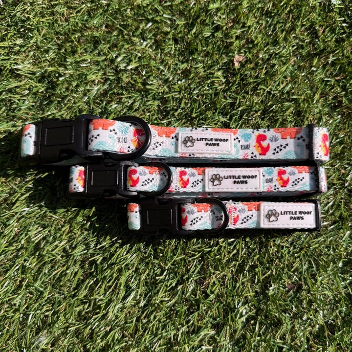 Hundhalsband dinosaurier - Roar! för wholesale av Littlewoofpaws