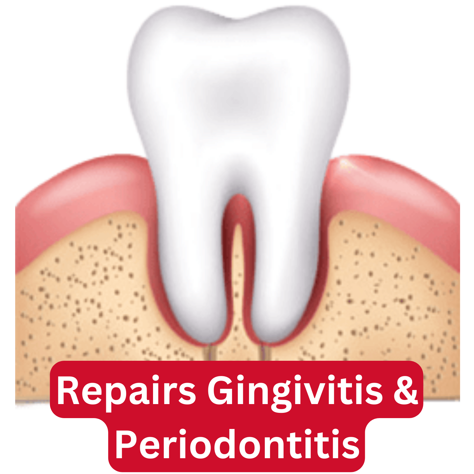 LACALUT - WHOLESALE - Wholesale Toothpaste - LACALUT Aktiv 75ml - RRP $13.9519