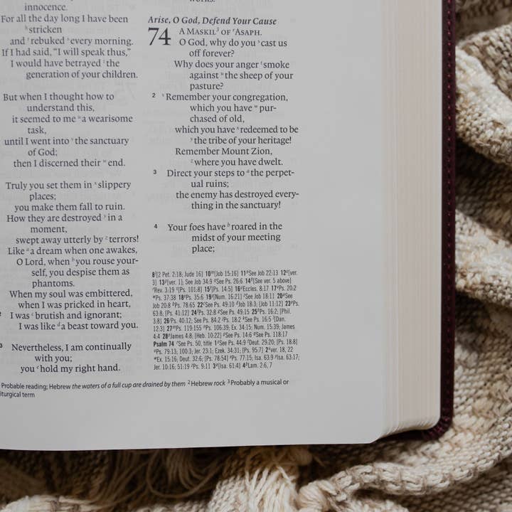 The Daily Grace Co - Wholesale Religion - ESV Wide Margin Reference Bible - John 15:52