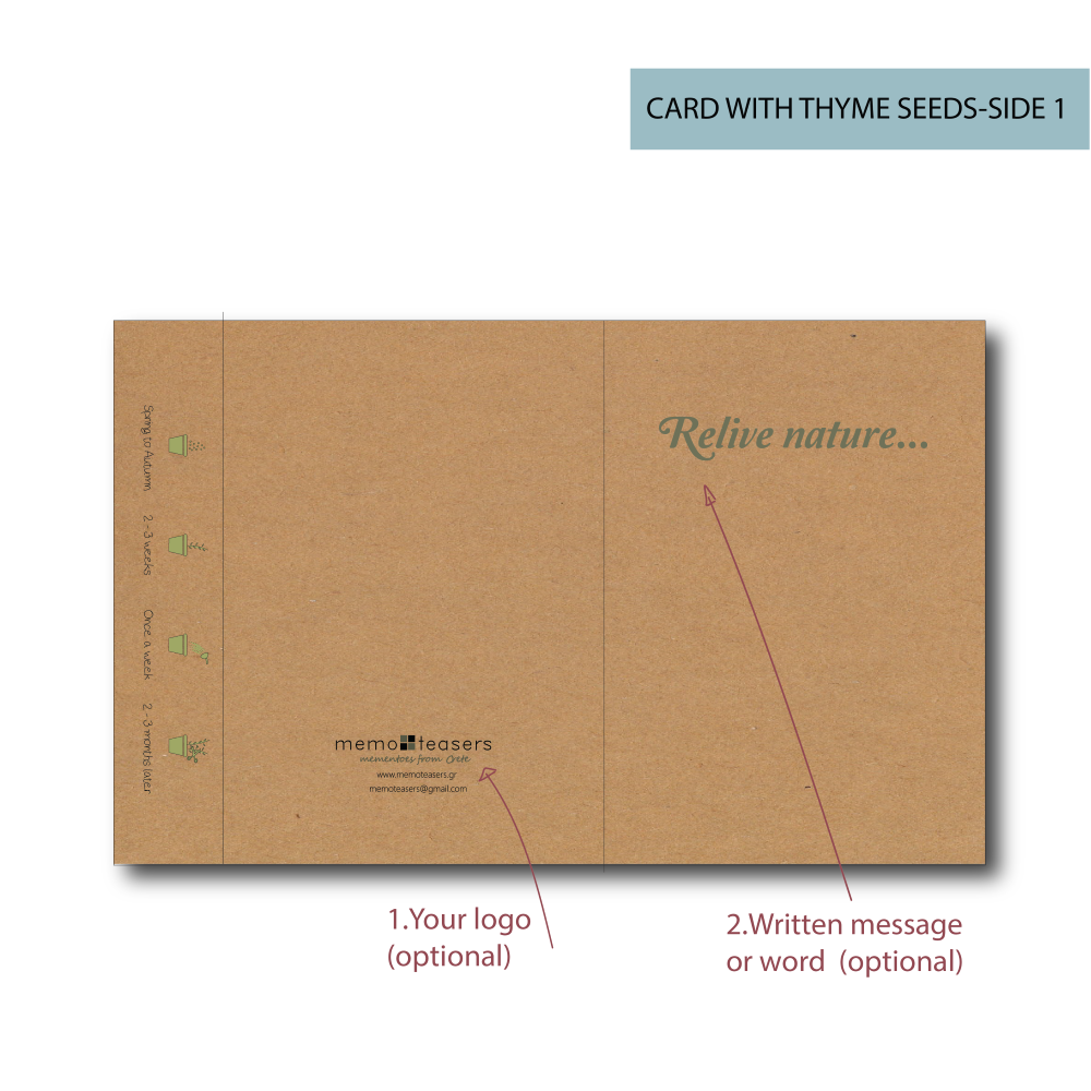 memoteasers - Wholesale Plant Seeds - Thyme Seeds4