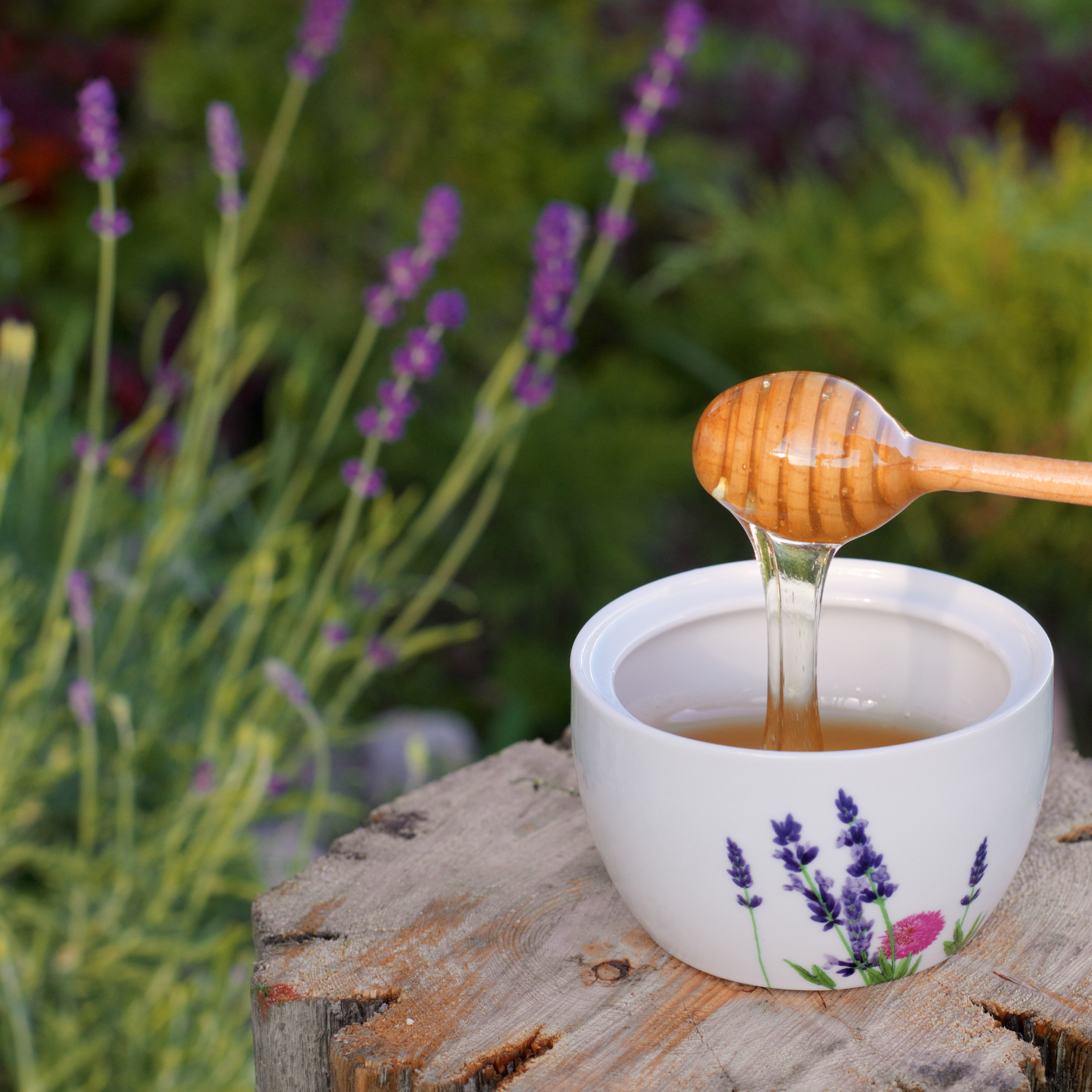 Arvoli Honey - Wholesale Honey - Raw Honey Bulk - Bulk Honey 5 Gallon ( 60 LBS )3