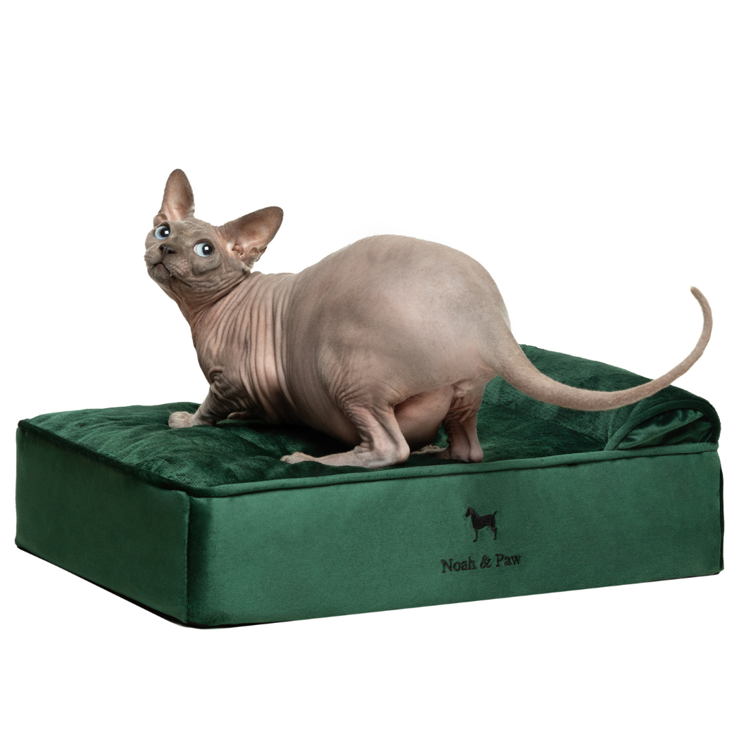 NOAH AND PAW LLC - Wholesale Bed voor huisdieren- Kat/hond - Fluwelen orthopedisch huisdierbed, traagschuim, doordrenkt met verkoelende gel - Klassiek0