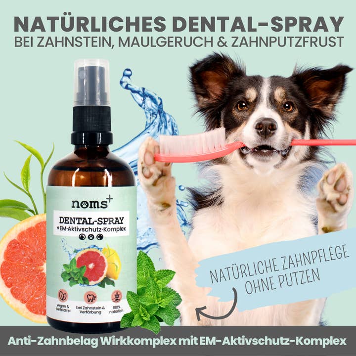 Noms+ - Wholesale Pet Supplement - Cat/Dog - Dental spray for tartar for dogs and cats1