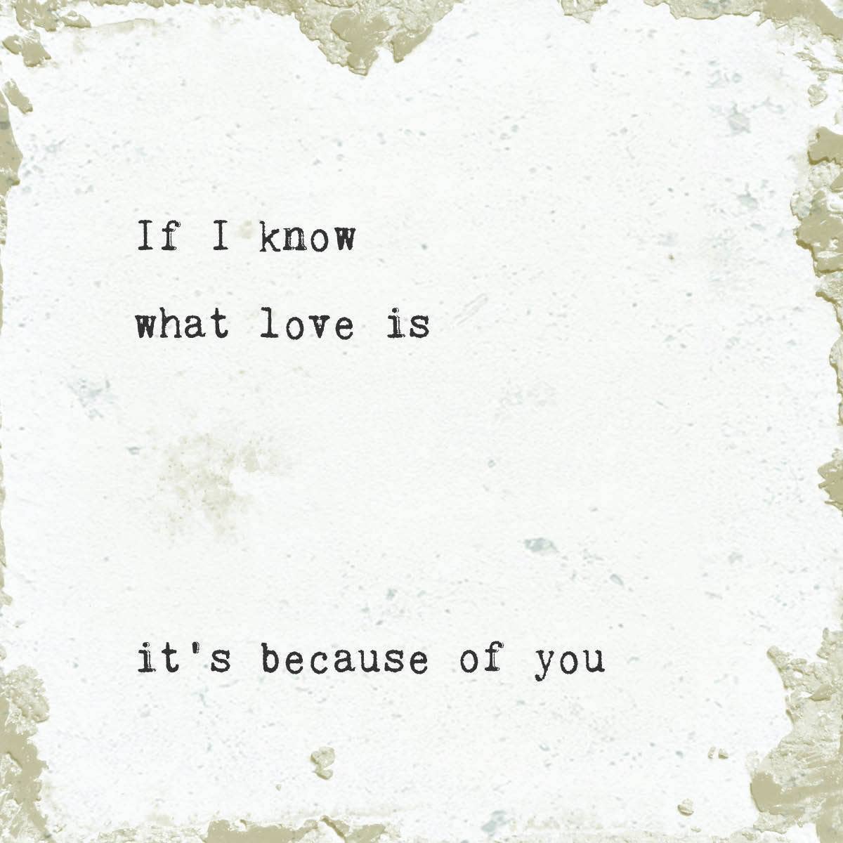 Cedar Mountain Studios - Wholesale Coasters - Marble Coasters -  - Little Gem - If I Know0